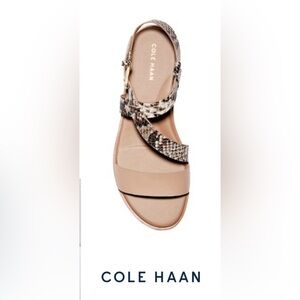 Cole Haan Findra Strappy Sandals Shoes Women's Size 8 Beige Black Leather Snake